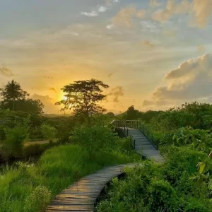 0e6c21d9-e6ce-4a49-b374-3580342f1c2f (1)