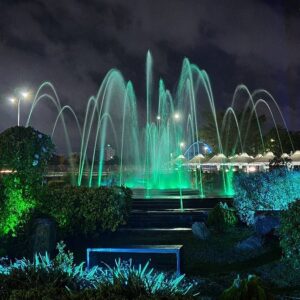 20200609-211528-largejpg-1