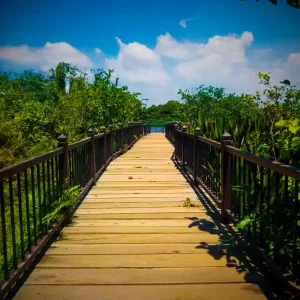 Diyasaru-Park-Thalawathugoda-4 (1)