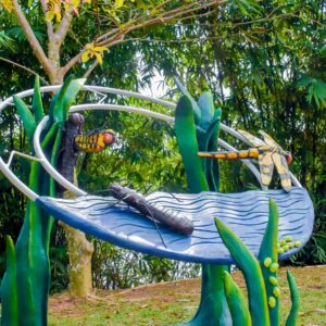 World-Wetland-Day-2021-Program-at-Diyasaru-Park-Thalawathugoda-15 (1)