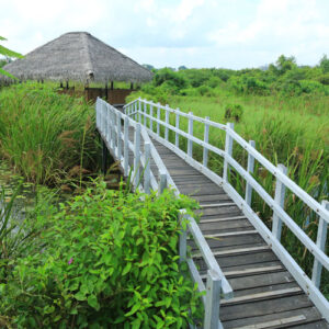 image_6bd70b8ceb (1)